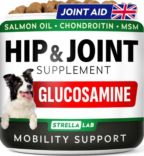 Joint supplement for older dogs